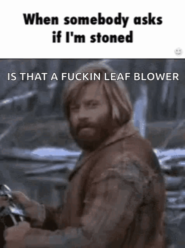 Stoned When Somebody Asks If Im Stoned GIF