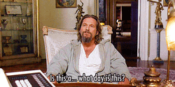 Stoner The Big Lebowski GIF