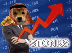 Stonks Dog Wearing Turban GIF