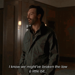 Stop Breaking The Law Eli Cohen GIF