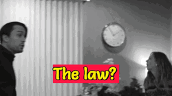 Stop Breaking The Law Kieran Culkin GIF
