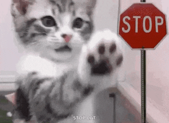 Stop Funnyanimal GIF