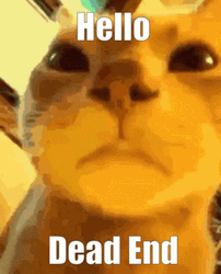 Stop He's Already Dead Close Up Kitty GIF