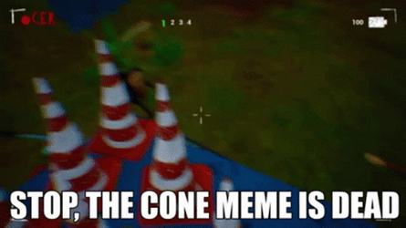Stop He's Already Dead Cone Meme GIF