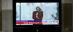 Stop It Funny News GIF