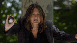 Stop It Law And Order  GIF