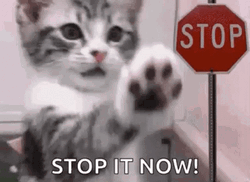 Stop It Now Cat GIF