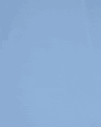 Stop Motion Octupus Cafe GIF