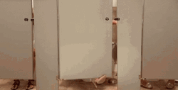 Stop Pooping Open Cubicle GIF