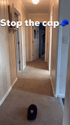 Stop The Cap Dive Slide Pathway GIF
