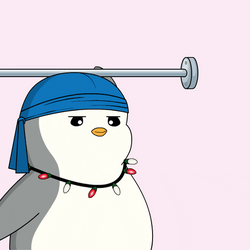 Stop The Cap Pudgy Penguin Enough Placard GIF