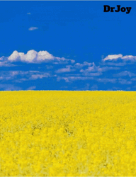 Stop War With Ukraine Save Planet Earth GIF