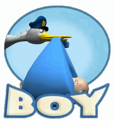 Stork Carrying Baby In Blue Blanket Boy GIF