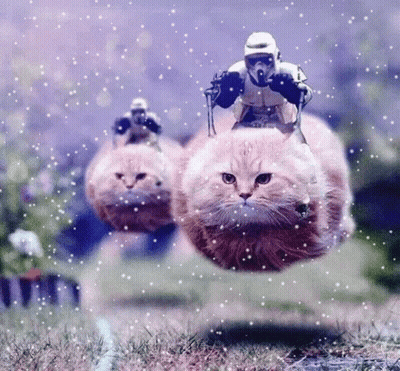 Storm Trooper Riding Cat In Snow GIF