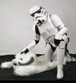 Stormtrooper PEtting GIF