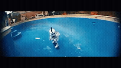 Stormtrooper Swimming In Pool GIF