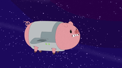 Stout Pig Flies Above Starry Night GIF