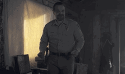 Stranger Things Police Jim Hopper GIF