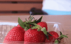 Strawberry Eating Happy Vivian Kong GIF
