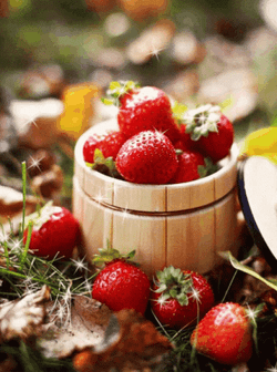 Strawberry Fruit In Basket GIF