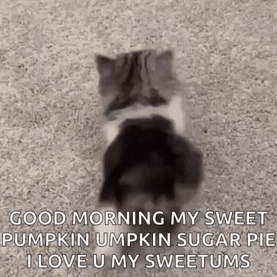 Strawberry Shortcake Slice Saying It's Strawberry Shortcake Day GIF