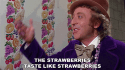Strawberry Willy Wonka Gene Wilder GIF