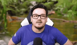 Streamer Guy Ain't Nobody Got Time For That  GIF