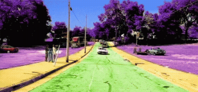 Street With Purple Trees And Cars GIF