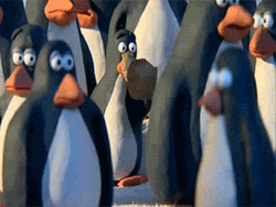 Stressed Penguin Anxiety Attack  GIF