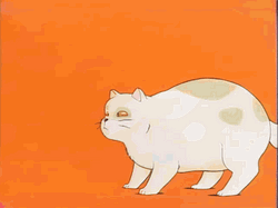 Stretching Fat Cat Animation GIF