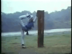 Stretching Kung Fu Martial Arts GIF