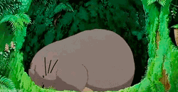 Stretching My Neighbor Totoro GIF