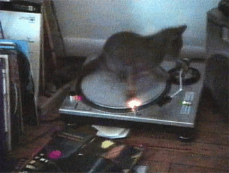 Stripe Spinning Cat On Music Disc Dizzy GIF