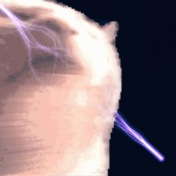 Strobe Light Bobbing Head Cat GIF