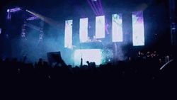 Strobe Light EDM Crowd Concert GIF