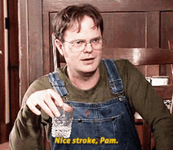 Stroke The Office Dwight Schrute  GIF