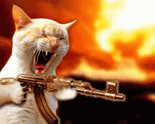 Strong Cat Shooter GIF