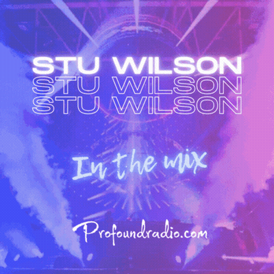 Stu Wilson In The Mix Poster GIF