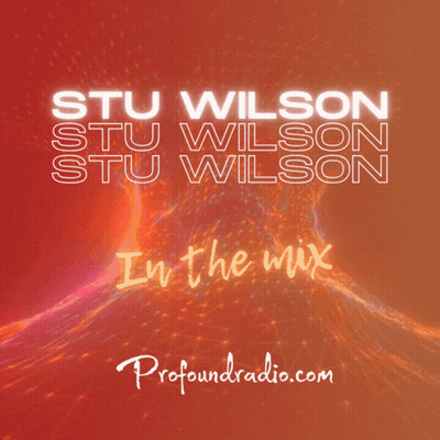 Stu Wilson In The Mix Poster GIF