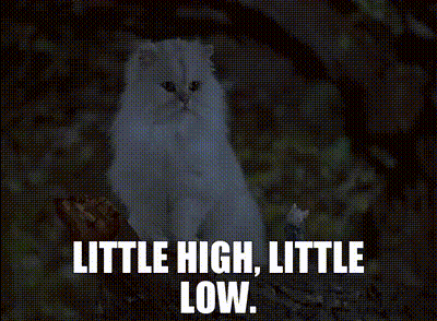 Stuart Little Little High Little Low GIF