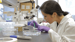 Student Experimenting Medicine GIF