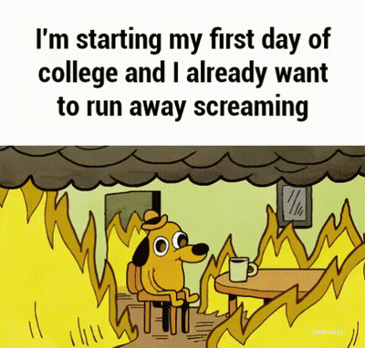 Students Sitting In Classroom With Teacher GIF