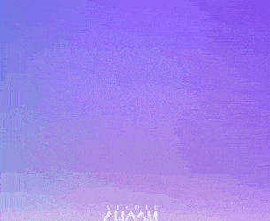 Studio Choom No Doubt GIF