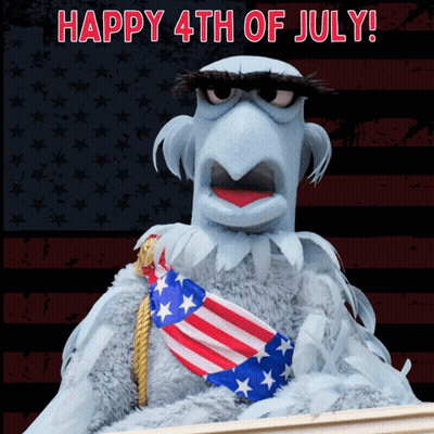 Stuffed Animal American Flag Happy 4th of July