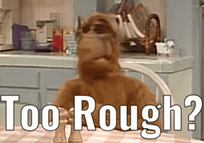 Stuffed Animal At Table Saying Too Rough GIF