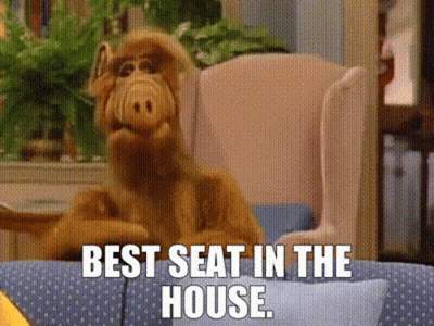 Stuffed Animal Best Seat In The House GIF