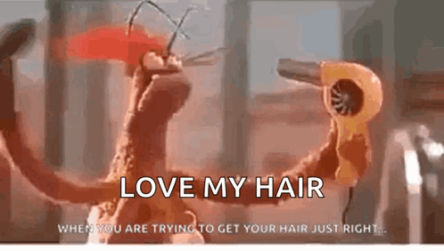 Stuffed Animal Blow Drying Hair Love My Hair GIF