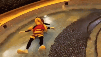 Stuffed Animal Floating In Pool GIF