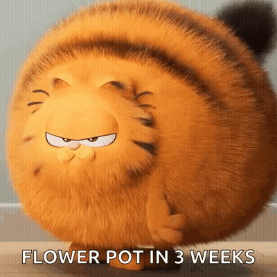Stuffed Animal Flower Pot In 3 Weeks GIF