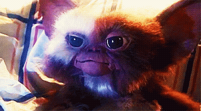Stuffed Animal Gizmo Close Up GIF